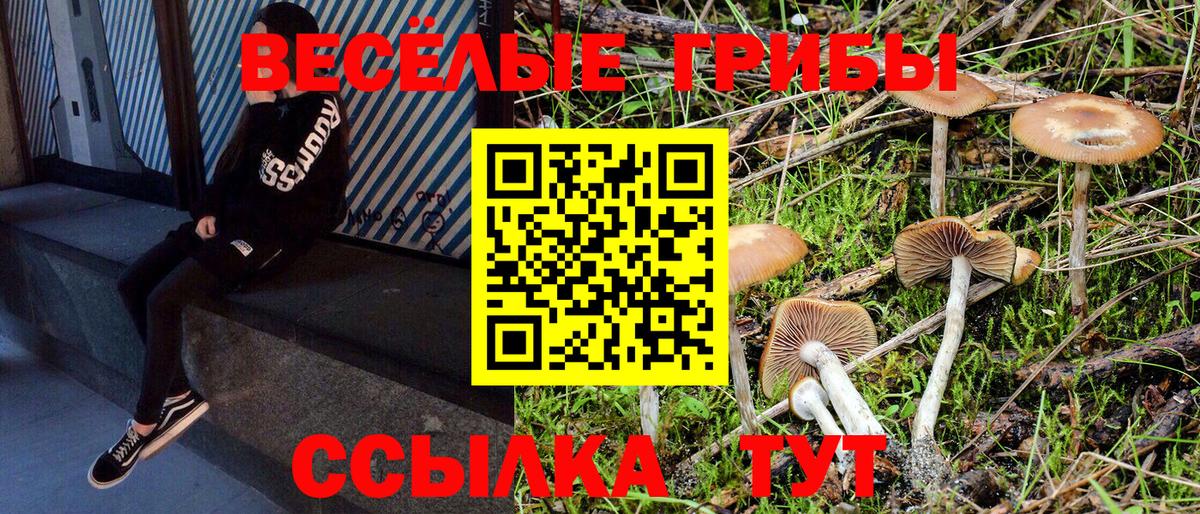 Сертолово  Галлюциногенные грибы Psilocybe  Псилоцибиновые грибы Magic Shrooms  Вход с VPN 